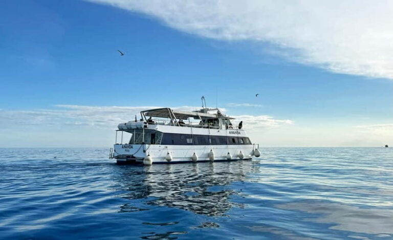 From Pula: Half-day NP Brijuni cruise with Lunch & Swimming - The Experience: A Closer Look at the Tour Itinerary