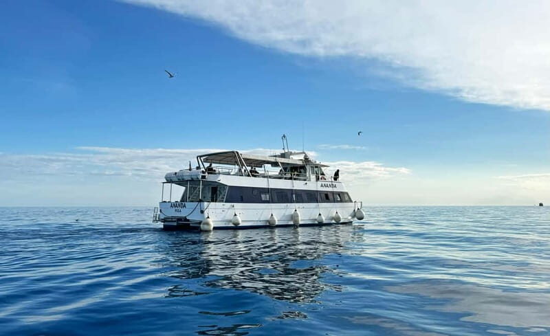 From Pula: Half-day NP Brijuni cruise with Lunch & Swimming - The Experience: A Closer Look at the Tour Itinerary