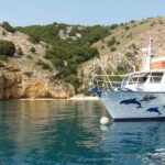 From Punat: Plavnik Island Boat Tour with Lunch - Setting Sail from Punat: What to Expect on Your Trip
