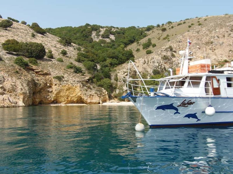 From Punat: Plavnik Island Boat Tour with Lunch - Setting Sail from Punat: What to Expect on Your Trip