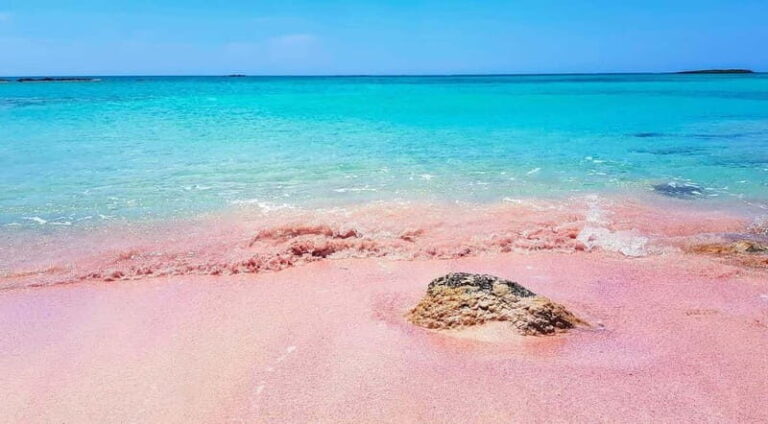 From Rethymno: Bus Trip to Elafonisi Beach - Who Will Love This Tour?