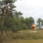 From Riga: Budget Day Trip to Kolka in Zen style! - Scenic Drive and Arrival in Kolka