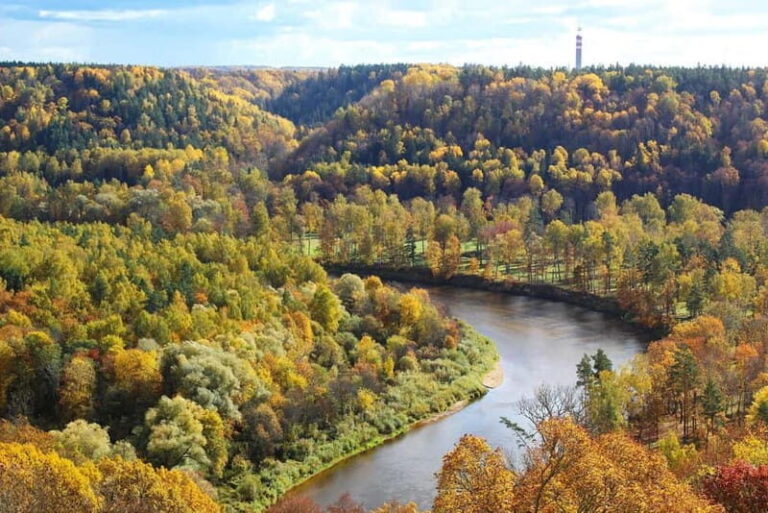 From Riga: Cesis, Sigulda & Turaida Castles Private Day Trip - A Detailed Look at the Tour Experience