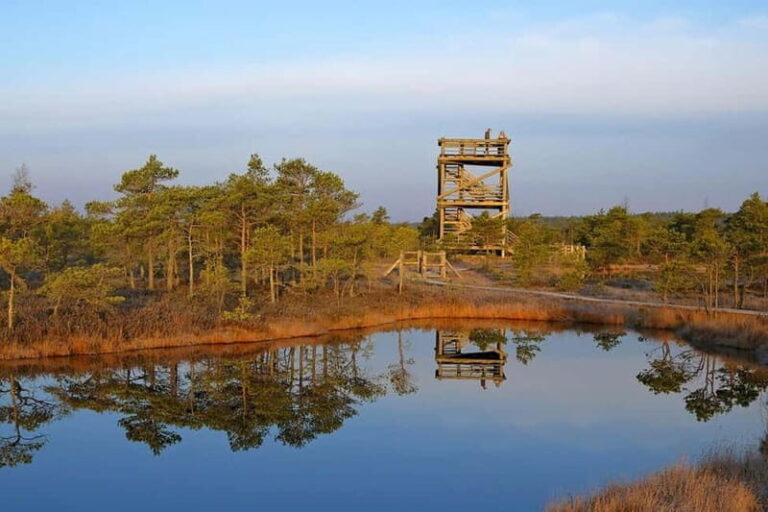 From Riga: Kemeri National Park and Kuldiga Tour - Key Points to Keep in Mind