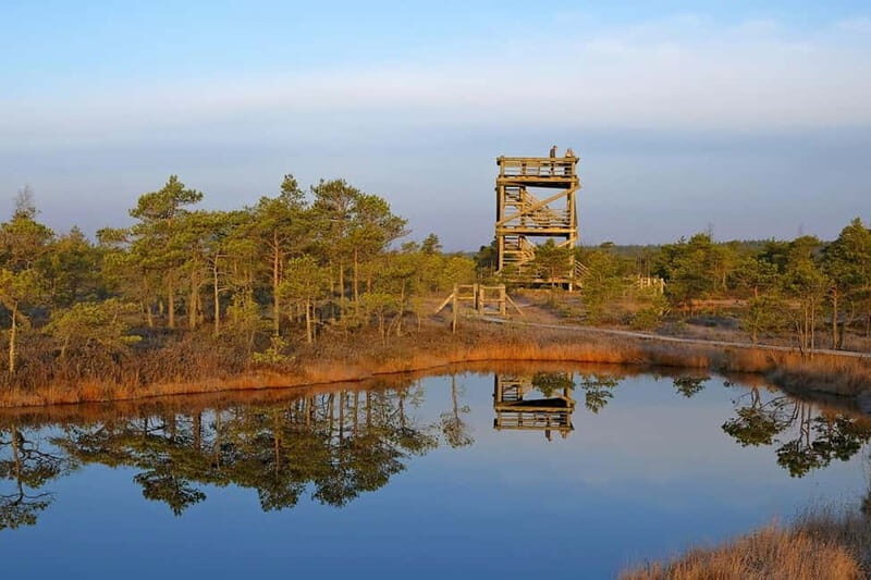 From Riga: Kemeri National Park and Kuldiga Tour - Key Points to Keep in Mind