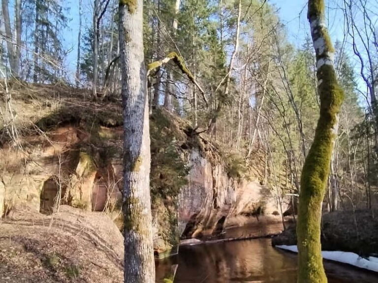 From Riga: Ligatne Village and Gauja River National Park - What Makes This Tour Special?