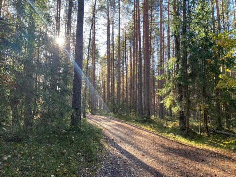 From Riga: Trip to Kemeri National Park & Jurmala - Transportation and Practical Details