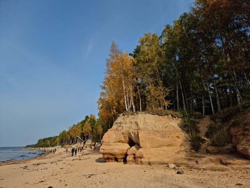 From Riga: Vidzeme Coast Half-Day Trip with Lunch - Practical Details: Transport, Timing, and Tips