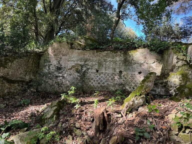 From Rome: TOP Reserved Tour Lanuvio & Tenuta Pantanacci with traditional lunch - Who Will Love This Tour?