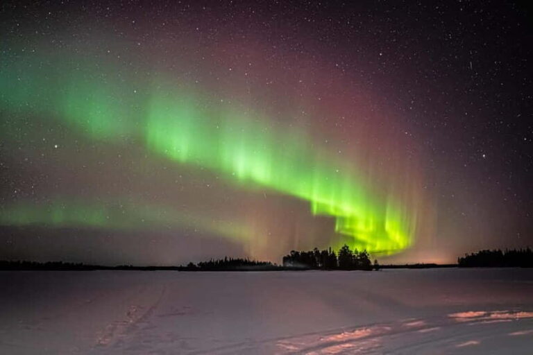 From Rovaniemi: Short Aurora Borealis Photography Expedition - Authentic Experiences and Honest Insights from Reviews