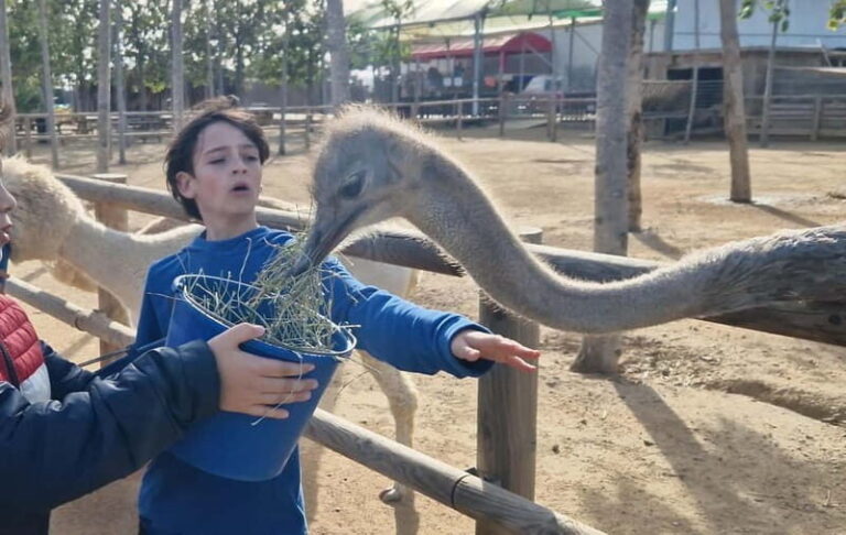 From Salou: animal farm park with hotel pickup - Who Is This Tour Best For?