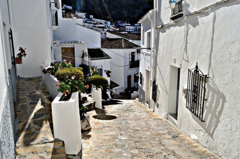 From Seville: White Villages and Ronda private day trip - Why This Tour Offers Great Value