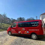 From Sibiu: Blue Line & City Tour Sighisoara - UNESCO - What Sets This Tour Apart