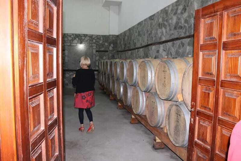 From Skopje: Private Full-Day Tour to Popova Kula Winery - What Makes This Tour Stand Out?