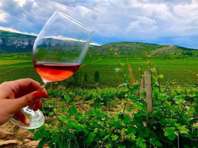 From Skopje: Private Tour of Sopot Winery with Lunch - A Closer Look at the Tour Experience
