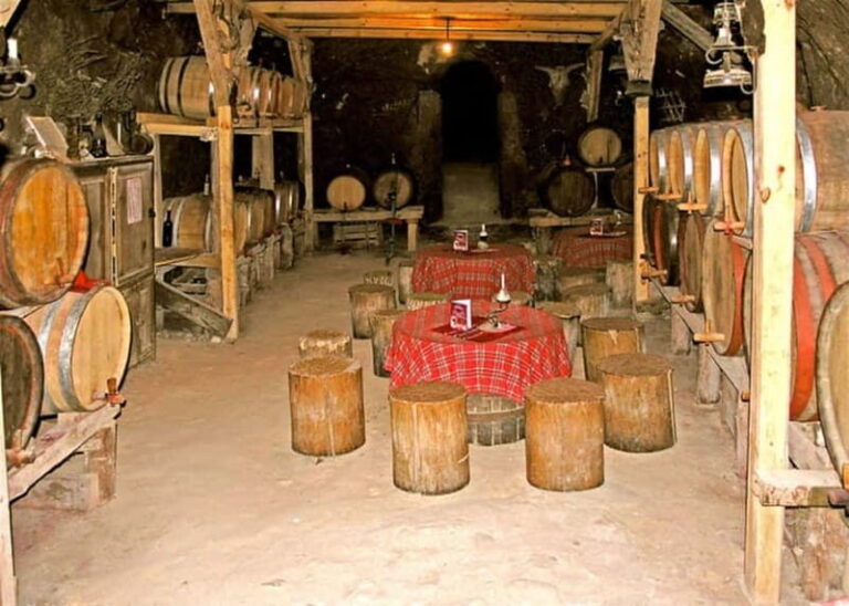 From Sofia: Private Melnik Wine Tour - Practical Details and Comfort