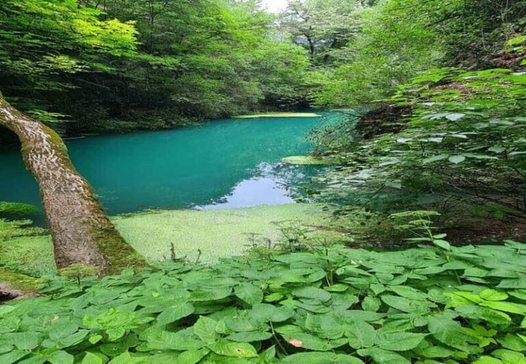 From Sofia: Zlatna Panega River Hike with Springs Visit - What Makes This Tour Stand Out