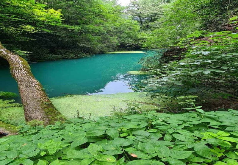From Sofia: Zlatna Panega River Hike with Springs Visit - What Makes This Tour Stand Out
