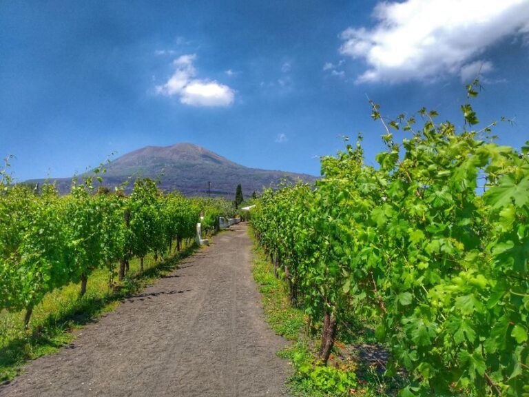 From Sorrento: Mount Vesuvius Tour with Lunch & Wine Tasting - Practical Tips and Considerations