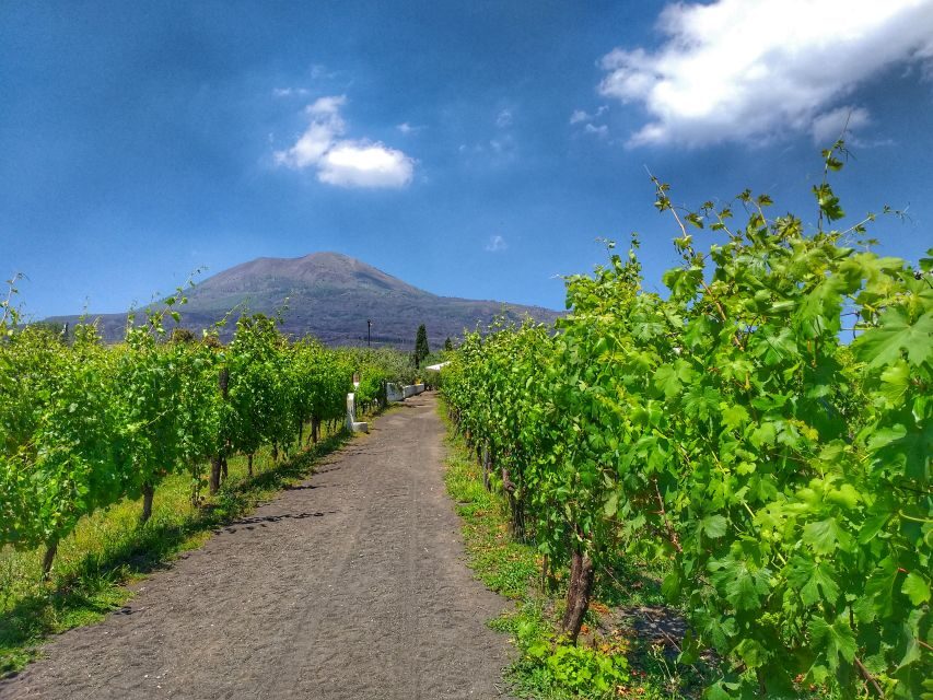 From Sorrento: Mount Vesuvius Tour with Lunch & Wine Tasting - Practical Tips and Considerations