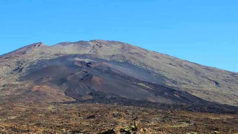 From South Tenerife: Half-Day Tour to Mount Teide - The Value of the Tour