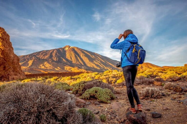 From South Tenerife: Mount Teide Hiking Day Trip & Cable Car - What to Expect: The Itinerary in Detail