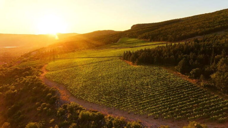 From Split: Blue and Red Lakes and Winery Grabovac Tour - Exploring the Lakes: Blue and Red Lakes