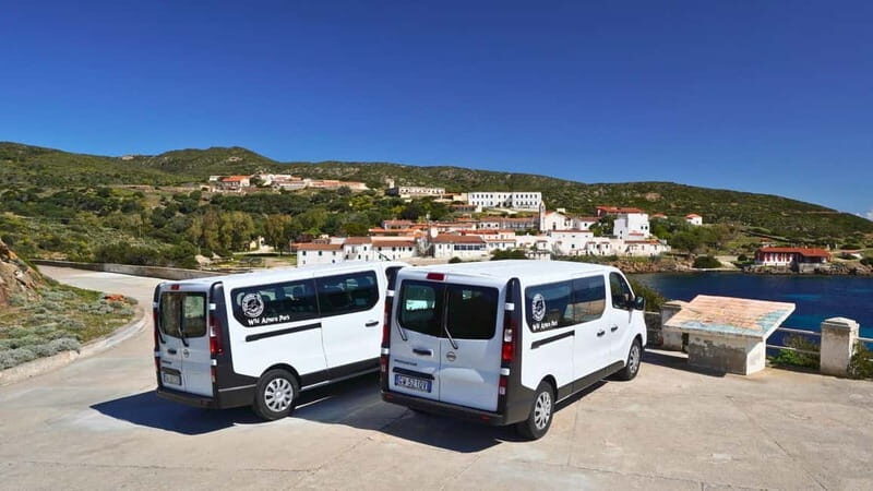 From Stintino: Asinara minivan tour