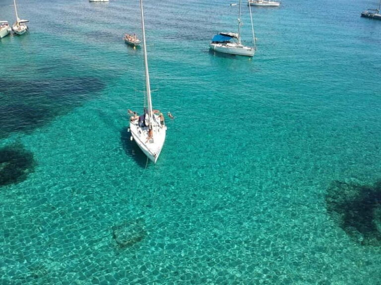 From Stintino: Half-Day Sailing Boat Tour to Asinara - Who Is This Tour Best For?