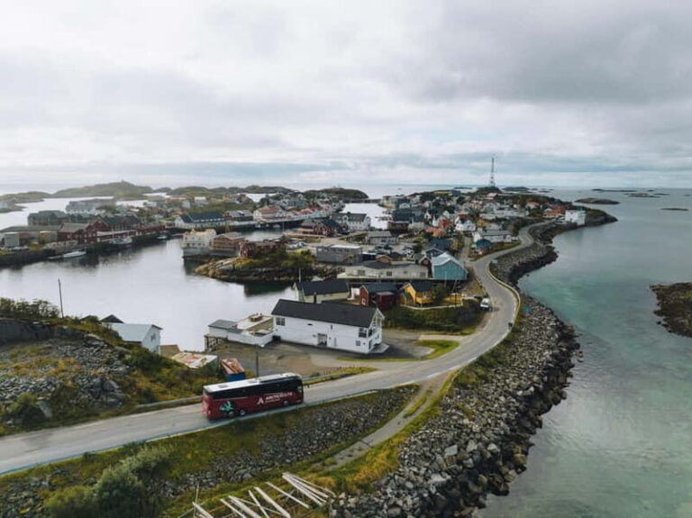 From Svolvær: Explore Nusfjord & Henningsvær, in 1 day - Practical Details & Tips