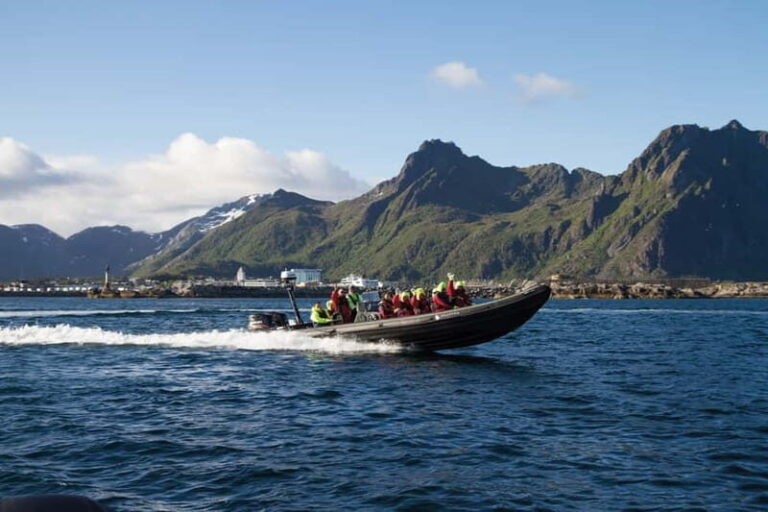 From Svolvær: Lofoten RIB Sea Eagle Safari Trollfjord Cruise - Frequently Asked Questions
