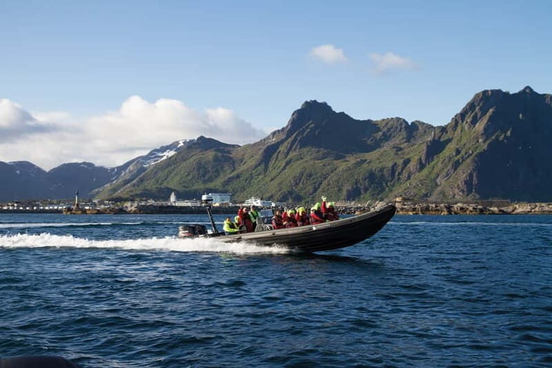 From Svolvær: Lofoten RIB Sea Eagle Safari Trollfjord Cruise - Frequently Asked Questions
