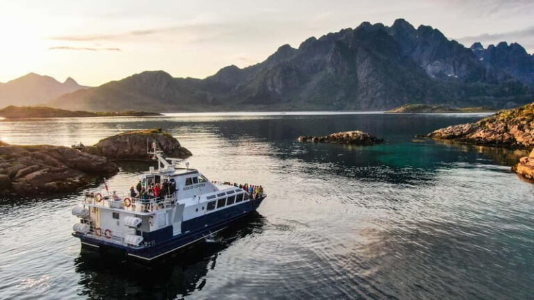 From Svolvær: Lofoten Trollfjord Cruise & Sea Eagle Safari - Who Will Enjoy This Tour?
