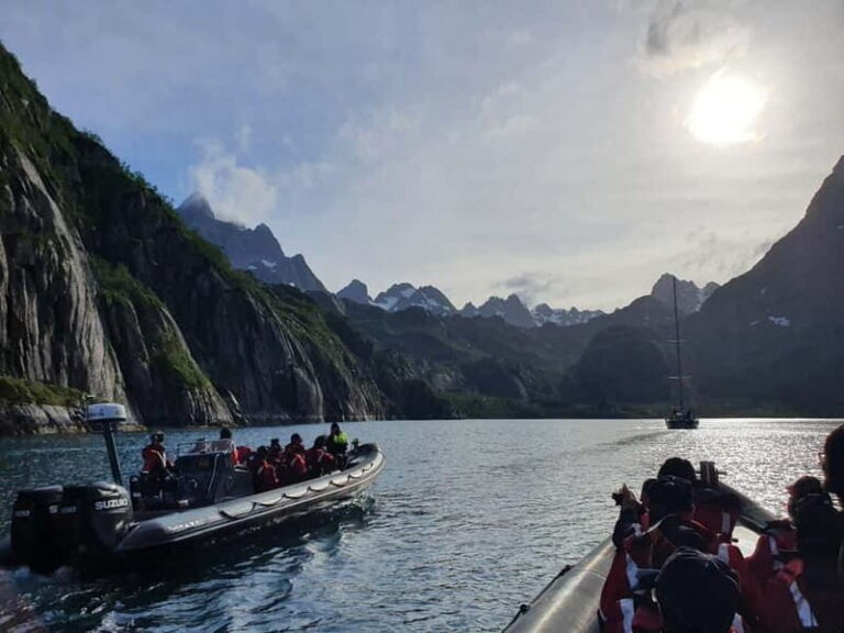 From Svolvær: RIB Boat Lofoten Trollfjord Sea Eagle Safari - The Guides and Their Role