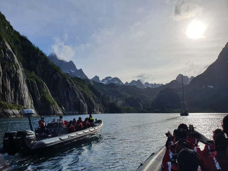 From Svolvær: RIB Boat Lofoten Trollfjord Sea Eagle Safari - The Guides and Their Role