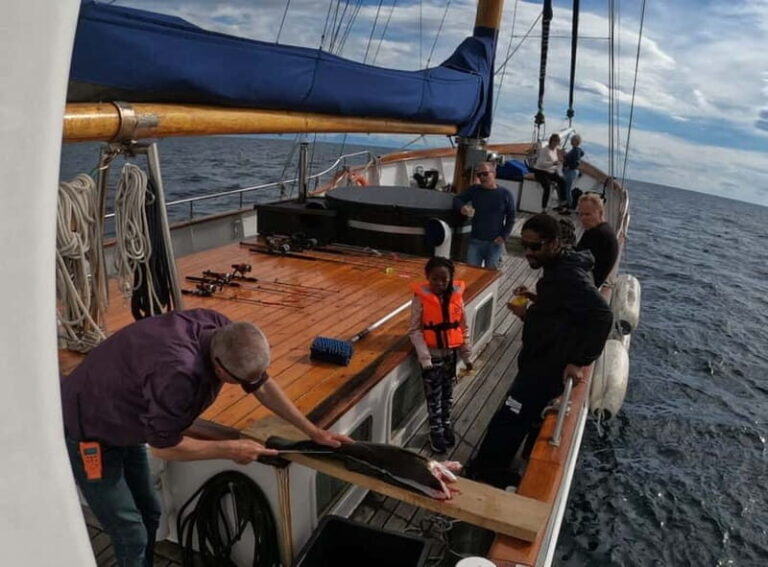 From Svolvær: Taste of Lofoten - Cultural Fishing Experience - Why This Experience Offers Great Value