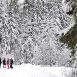 From Tallinn: Lahemaa National Park 3 Waterfall Hike - What It’s Like to Hike in Lahemaa