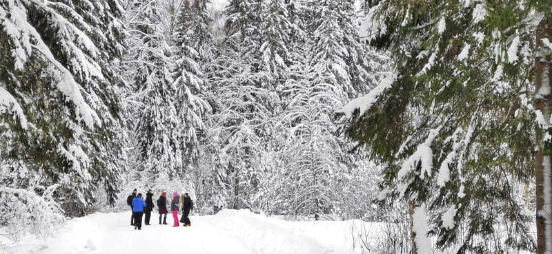 From Tallinn: Lahemaa National Park 3 Waterfall Hike - What It’s Like to Hike in Lahemaa