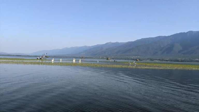 From Thessaloniki: Lake Kerkini, Boat Ride & Winery Day Tour - Tasting the Local Buffalo Milk Products