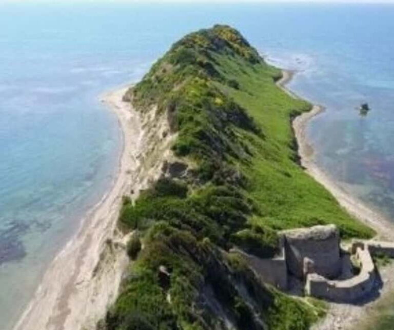 From Tirana: Cape of Rodon Castle, Beach & Wine Tasting Tour - The Vineyard and Wine Tasting Experience