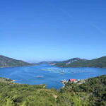 From Tirana: Day Tour to Shala River with Boat Trip - Scenic Drive Back and Final Highlights