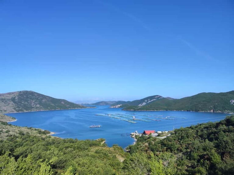 From Tirana: Day Tour to Shala River with Boat Trip - Scenic Drive Back and Final Highlights