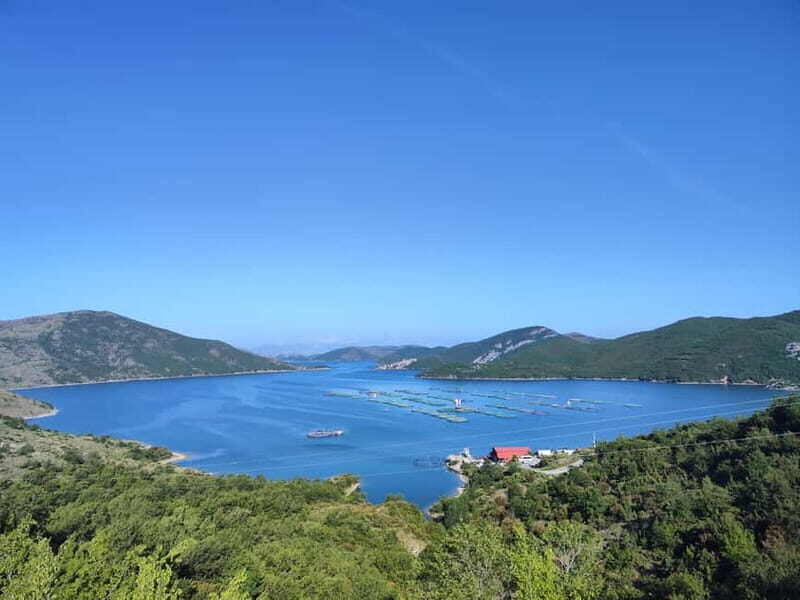 From Tirana: Day Tour to Shala River with Boat Trip - Scenic Drive Back and Final Highlights