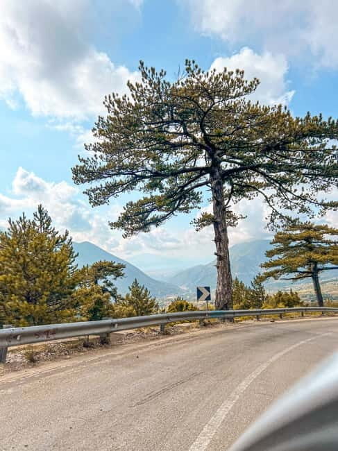 From Tirana: Day Trip at Sazan Island- Karaburun Peninsula - Authentic Experiences and Traveler Insights
