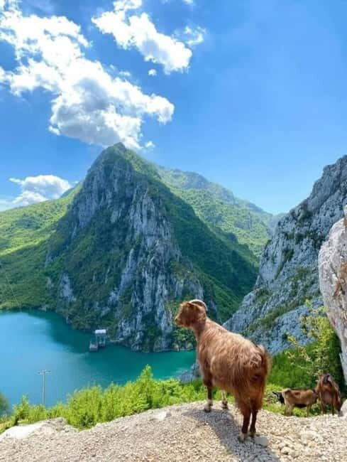 From Tirane To Bovilla Lake & Gamti Mountain SUNNSET TIME - Why This Tour Offers Great Value