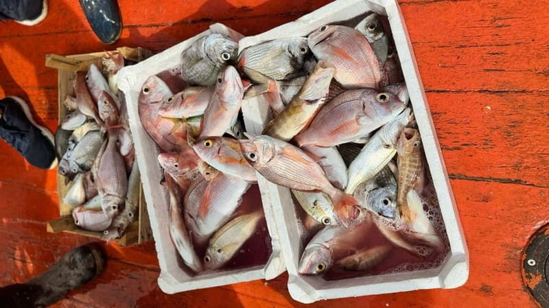 From Trapani: Egadi Islands Full-Day Fishing Trip with Lunch - Why This Tour Is Worth Considering