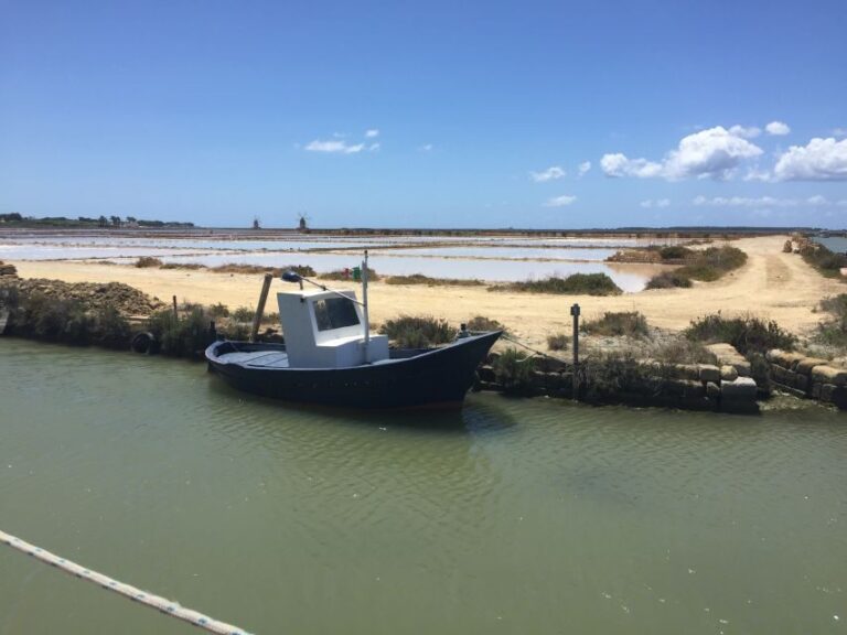 From Trapani: Stagnone Islands of Marsala and salt pans - What Makes This Tour Special?