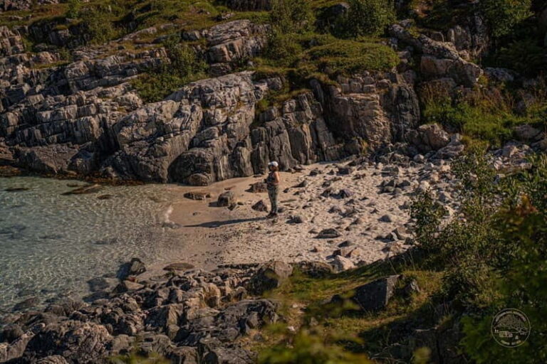 From Tromsø: Arctic Roadtrip: fjords tour with scenic picnic - An In-Depth Look at the Itinerary and Experience