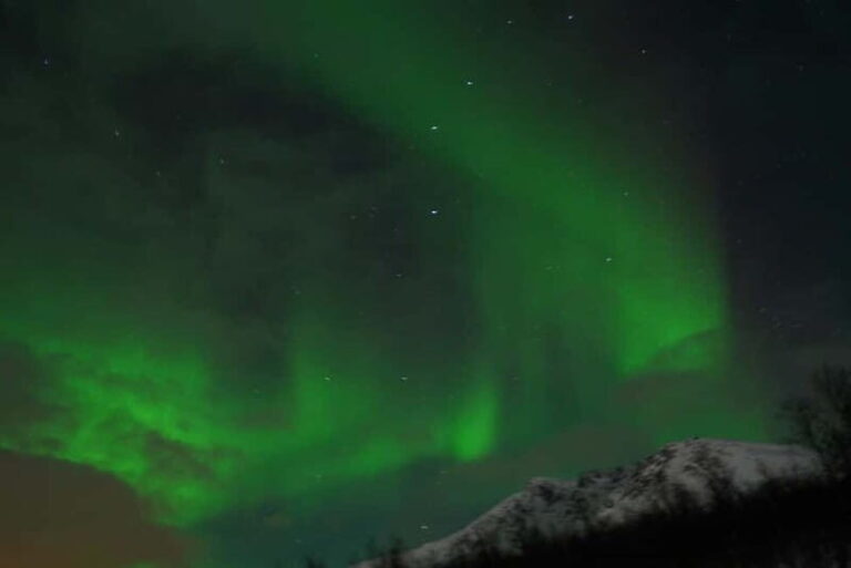 From Tromsø: Aurora Bus Tour with Snacks, Photos, and Drinks - Is This Tour Worth It?