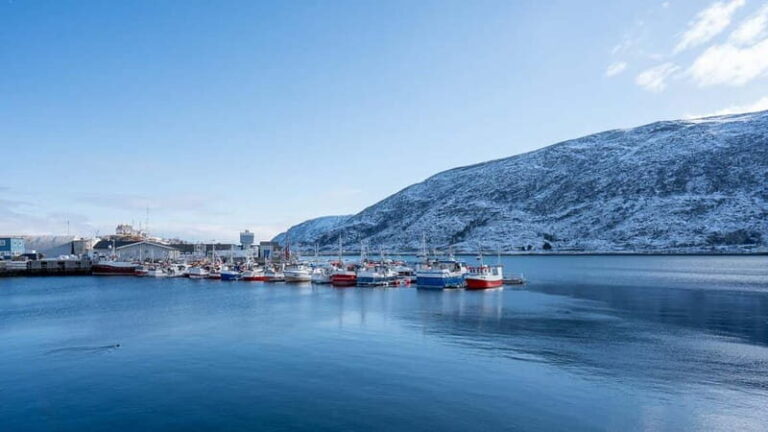 From Tromsø: Experience Vannøya Island Wild, Remote & Real - Practical Details and Value